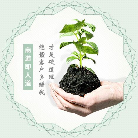 蔬菜種子經營，商道即人道