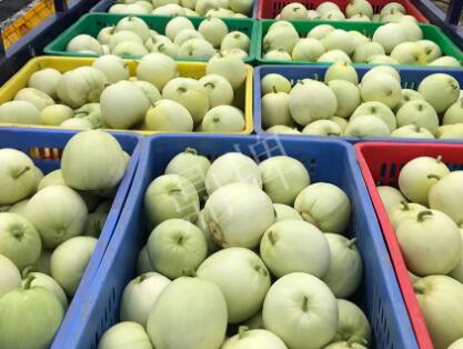 蔬菜種子種植戶客戶點評-5元1斤，這個新品種真香甜！