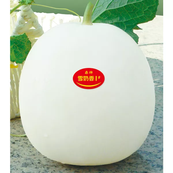 薄皮甜瓜，哪個品種最好呢？畝產(chǎn)高達10萬，附4種市場爆款品種