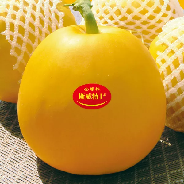 薄皮甜瓜，哪個品種最好呢？畝產(chǎn)高達10萬，附4種市場爆款品種