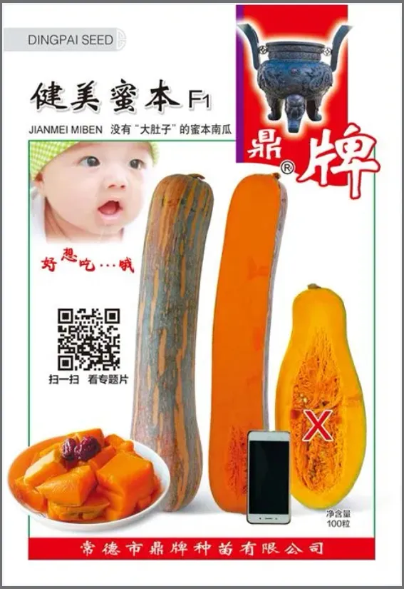 3元1斤的健美蜜本南瓜快成熟了，緬甸種植戶發(fā)來圖片與視頻