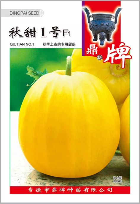 高溫季節(jié)種植甜瓜，什么品種最好？這個品種是秋季上市的專用品種