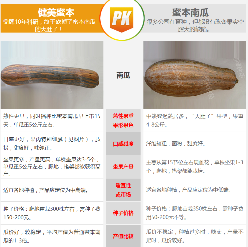 生吃都好吃南瓜新品種，沒(méi)有大肚子，肉質(zhì)更密致，農(nóng)戶(hù)試種下