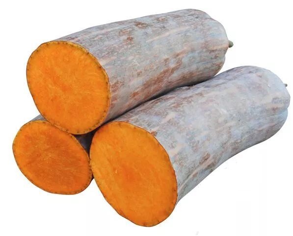 生吃都好吃南瓜新品種，沒(méi)有大肚子，肉質(zhì)更密致，農(nóng)戶(hù)試種下