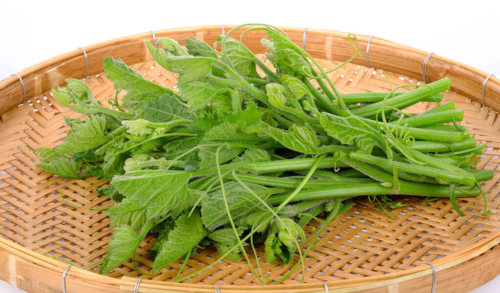 種這種綠葉菜，栽培輕松，畝產(chǎn)值過萬元，菜農(nóng)表示很劃算