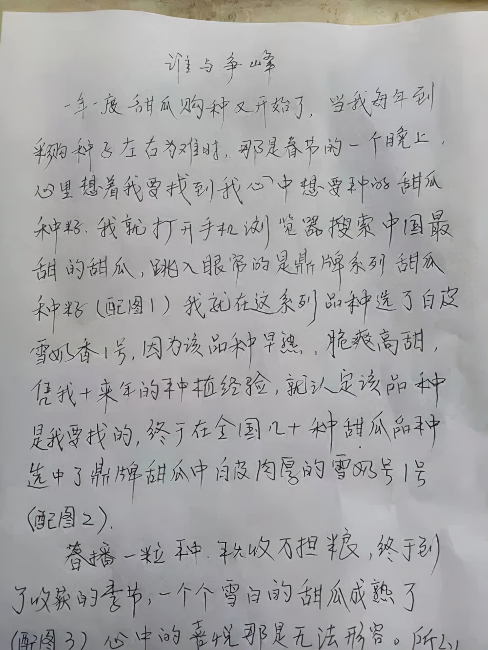 河南焦作的李向林今年種植甜瓜新品種，客戶直接拉貨走人