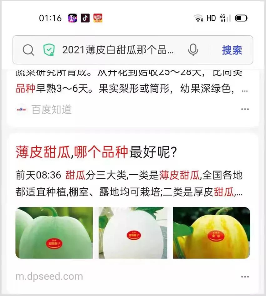 河南焦作的李向林今年種植甜瓜新品種，客戶直接拉貨走人