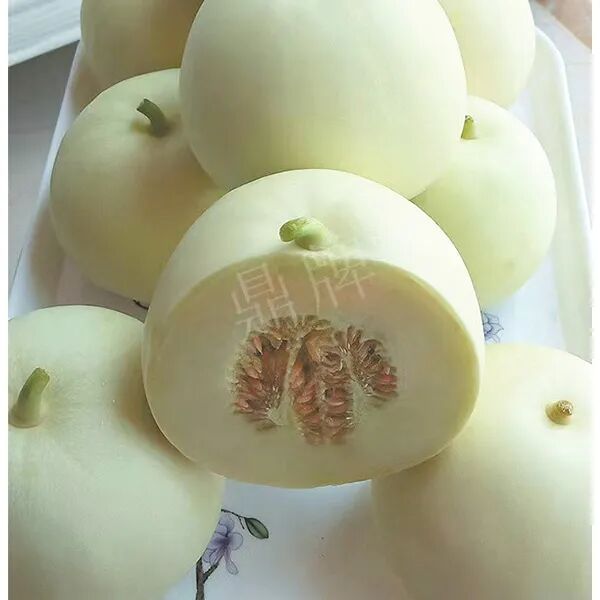 蔬菜種子種植戶種植心得-這個(gè)品種幫我留一些，4月份我們當(dāng)?shù)剡€要種一批