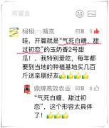 蔬菜種子種植戶客戶點評-“氣死白糖，甜過初戀”，您知道或體驗過這句話嗎